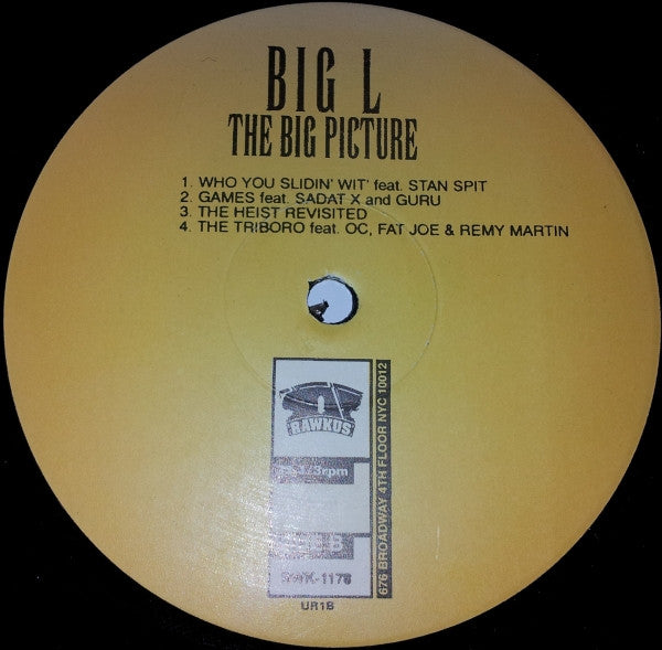 Big L : The Big Picture (2xLP, Album, Promo)
