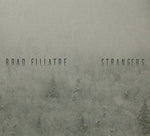 the album cover for Brad Fillatre - Strangers