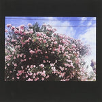 the album cover for Ceres - Drag It Down On You