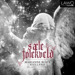 the album cover for Kielland / Mortensen / Arctimus / Various - Sale Jolekveld