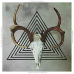 Hija Comunista - Grietas que Construyeron el Muro (Vinilo)