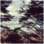 WL - ライト・イヤーズ(ビニール盤)