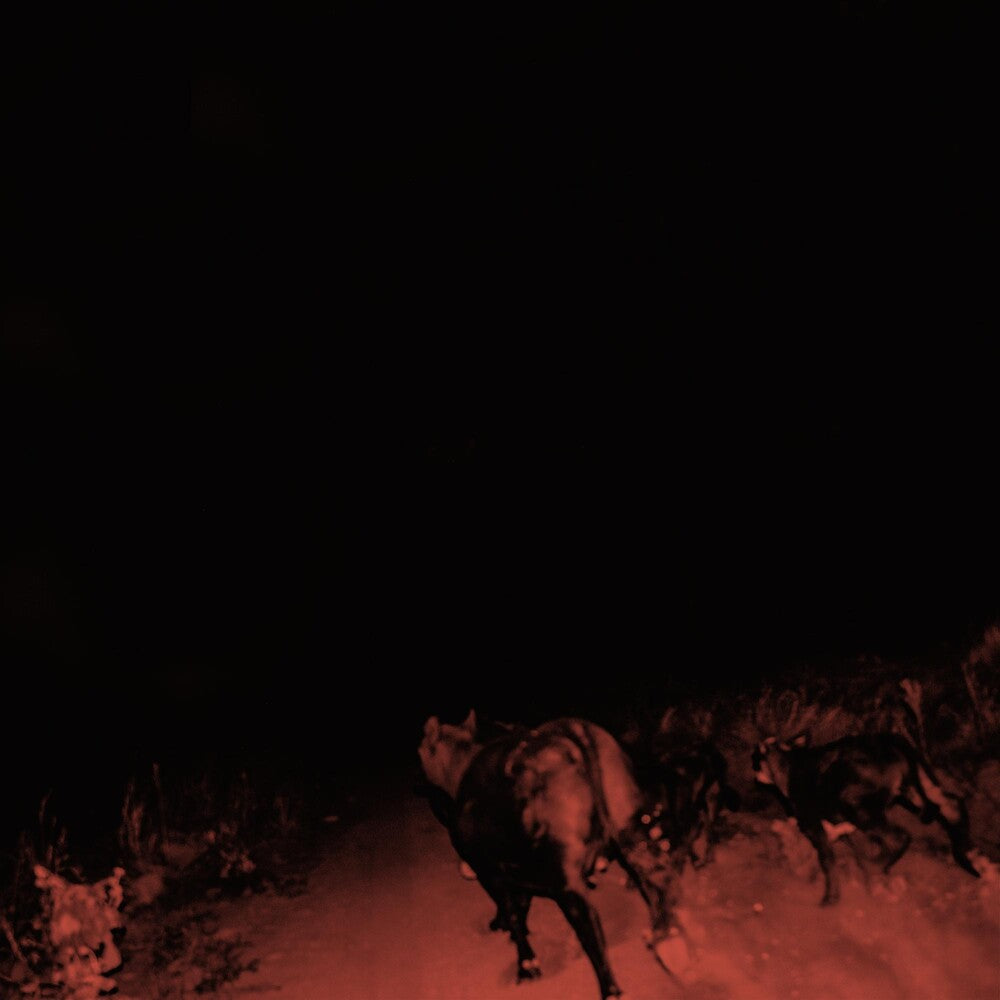 the album cover for Bambara - Shadow On Everything