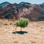 Syml - In My Body (レコード)