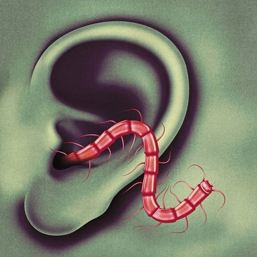 Thee Oh Sees - An Odd Entrances (レコード)