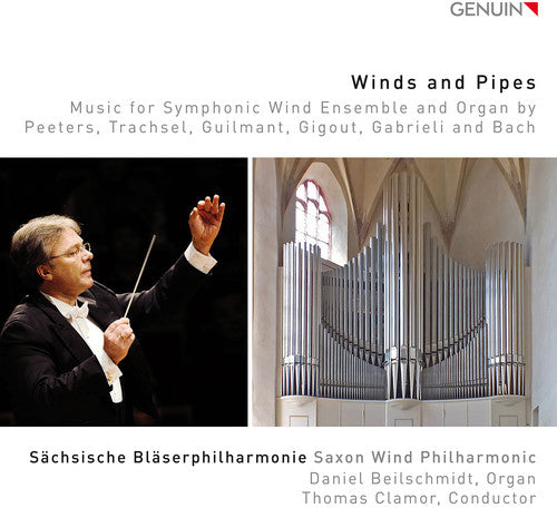the album cover for Daniel Beilschmidt - Winds & Pipes