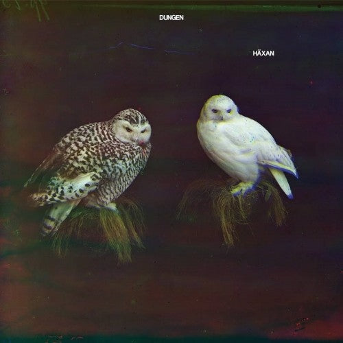 the album cover for Dungen - Haxan