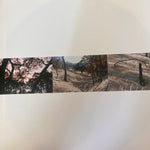 Cass McCombs : Interior Live Oak (2xLP, Gat)