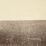 The Milk Carton Kids - Ash & Clay (CD)