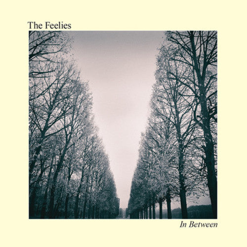 The Feelies - In Between (Vinilo)