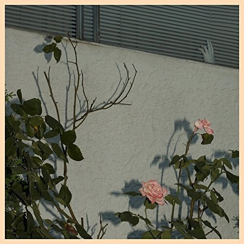 ソフト・キル - セイヴァー(CD)