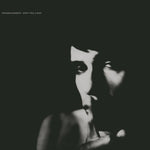 リプレイスメンツ - ドント・テル・ア・ソウル (レコード)