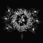 ウィズ・ザ・エンド・イン・マインド - アンラベリング・アライズ(ビニールレコード)