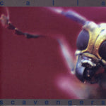 Calla - Scavengers (CD)
