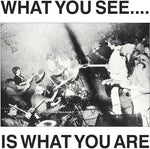 the album cover for Here & Now & Alternative Tv - What You See Is What You Are