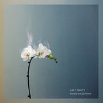 the album cover for Worlds End Girlfriend - Last Waltz