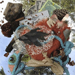 スネークホール - インタールード・オブ・インサニティ (レコード)