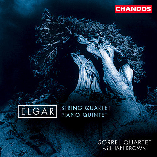 the album cover for Sorrel Quartet - String Quartet / Quintet for Piano & Strings