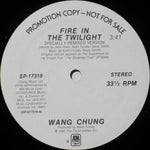 Wang Chung / Joyce Kennedy : Fire In The Twilight / Didn't I Tell You (12", Promo)