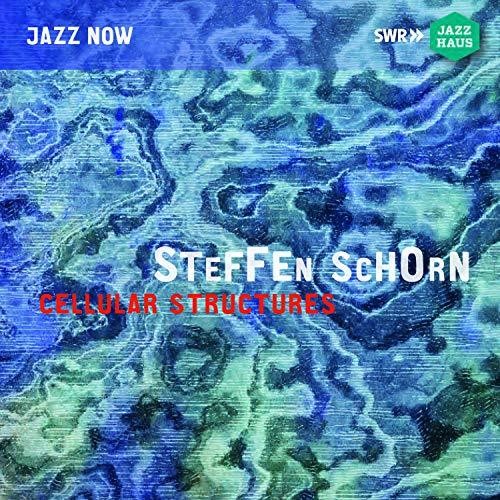 Steffen Schorn - Cellular Structures (CD)