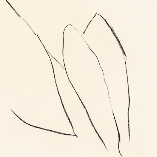 Jon Porras - Voces del Aire (Vinilo)