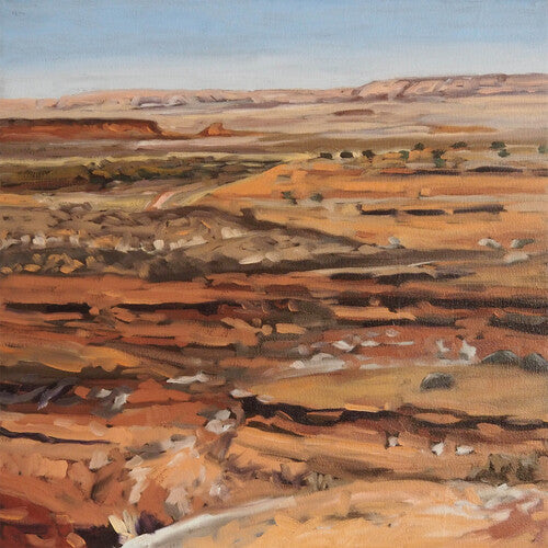 Possum Moods - Northern Times (Vinilo)