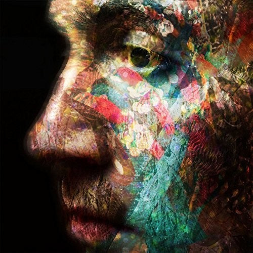 the album cover for Daniel Osullivan - Veld