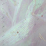 Airhead Dc - Crush Hi (Vinilo)