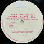 Roy Davis Jr. : House Trax & Rhythms (12")