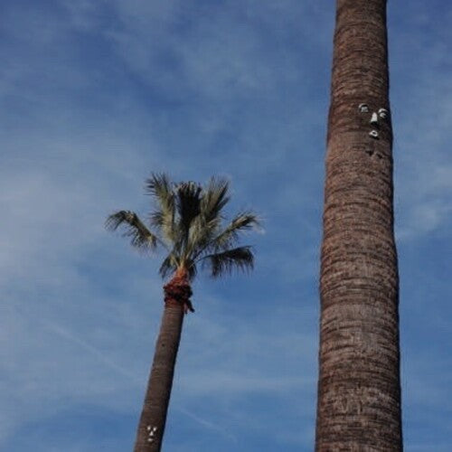 ソー・ストレスト - プリーズ・レット・ミー・ノウ(レコード)