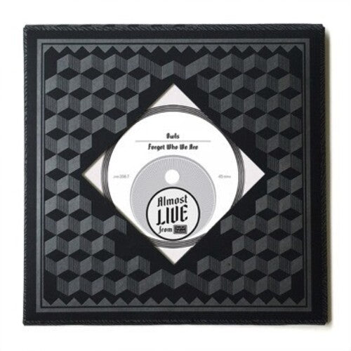 The Owls - Forget Who We Are (Vinyl)