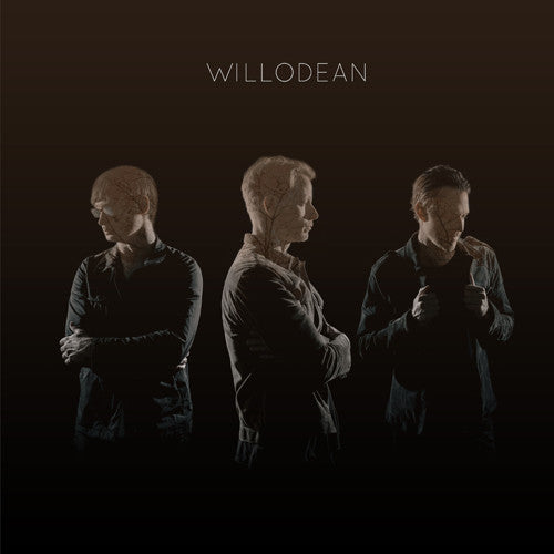 the album cover for Willodean - Fires Cars & Autumn Stars