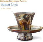 the album cover for Platti / Radio Antiqua - Sonate a Tre