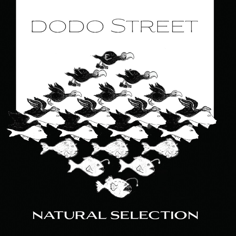 the album cover for Adams / Dodo Street Band / Byrne - Natural Selection