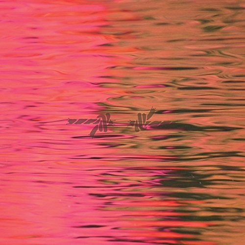 シルバースタイン - デッド・リフレクション (ビニール盤)