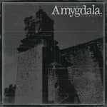 the album cover for Amygdala - Our Voices Will Soar Forever