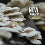 Chris Brokaw - Now Forager (Original Soundtrack) (Vinyl)