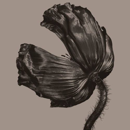 ペット・ショップ・ボーイズ - リリース(2017年リマスター版)(レコード)