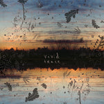 The Options - Vivid Trace (Vinyl)