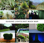the album cover for Guiding Lights - Not Much War