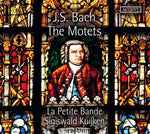 the album cover for Sigiswald Kuijken - Bach: The Motets