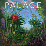 the album cover for Palace - Life After