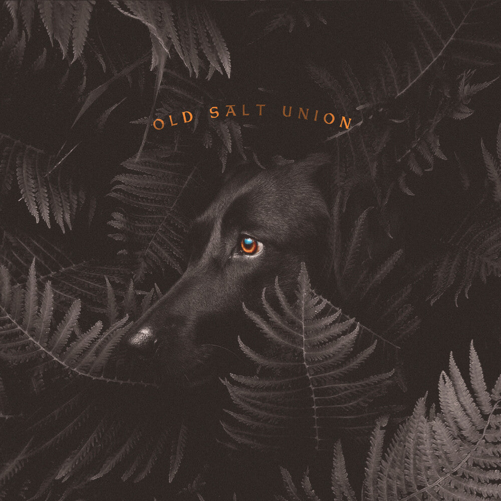 the album cover for Old Salt Union - Where The Dogs Don't Bite