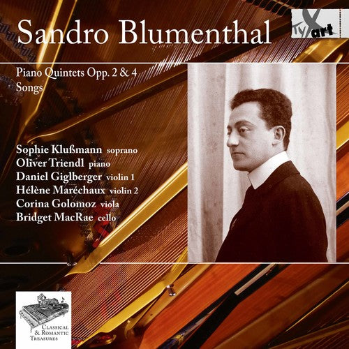 the album cover for Blumenthal / Klussmann / Macrae - Chamber Music