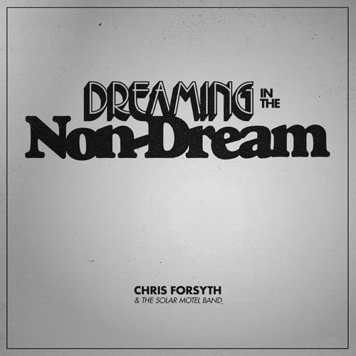 the album cover for Chris Forsyth & The Solar Motel Band - Dreaming In The Non-dream