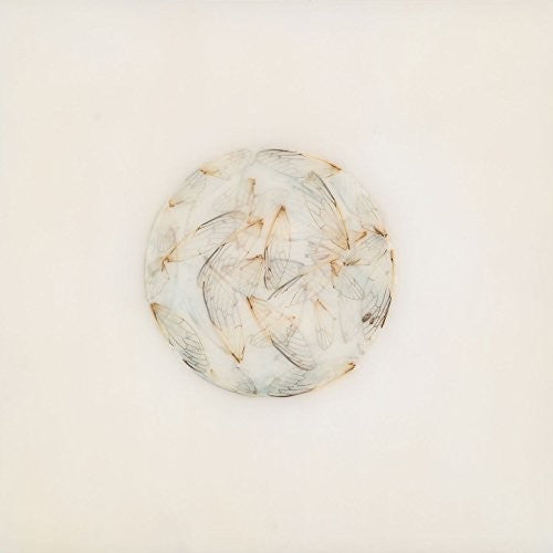 Lotte Kestner - Off White (Vinilo)