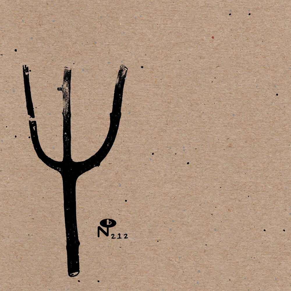 the album cover for Indian Summer - Giving Birth to Thunder