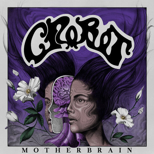 Crobot - Cerebro Madre (CD)