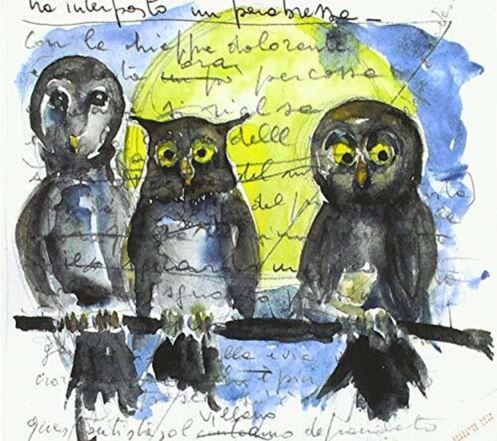 the album cover for Barbagiannas / Alessandro Ducoli - Gufi Allocchi Barbagianne E Altre Giovani Streghe