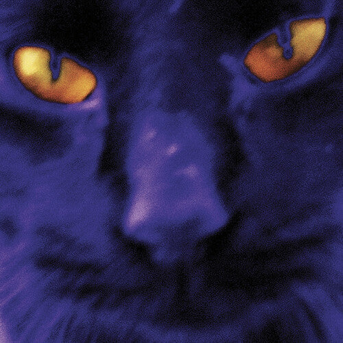 デヴィッド・キルガー&ザ・ヘヴィー・エイツ - ボビーズ・ア・ガール(ビニールレコード)